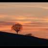 20150407_393